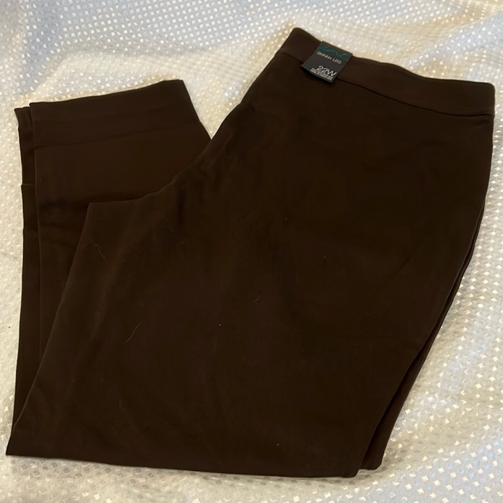 INC SKINNY LEG PULL ON STRETCH KNIT PANTS 22W